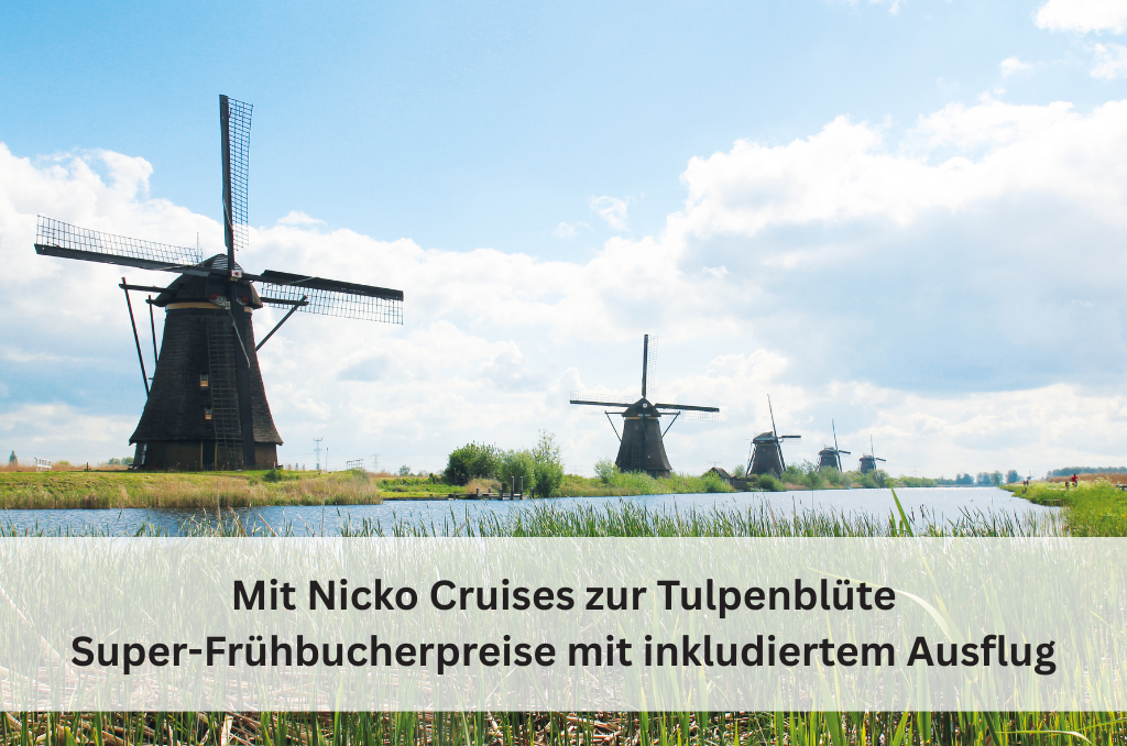 Traditionelle dunkle Windmühlen stehen entlang eines Kanals unter blauem Himmel. Werbung für Nicko Cruises zu den Tulpen in den Niederlanden mit Frühbucherpreisen.